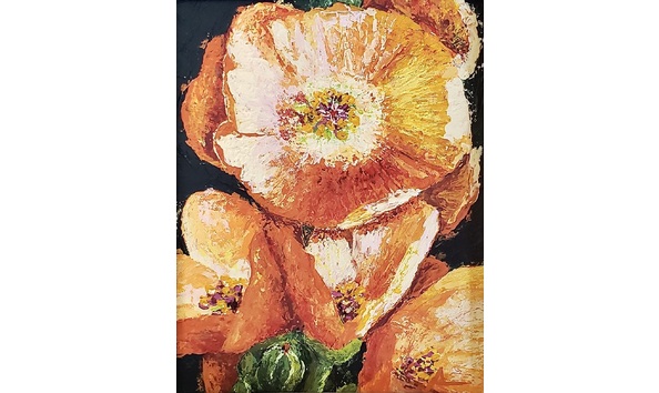 Big image 128b71fb c0dd 4d38 879e a6f77fdd740c 1 201 a