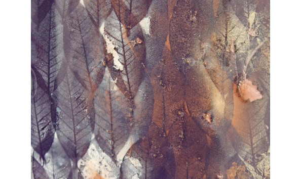 Big image 89931a52 cac7 4acc b79a 5cd8f6ede939 1 201 a