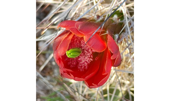 Big image ab0cf8ce d1a7 4cf4 ac38 2f2a75ca177d 1 201 a