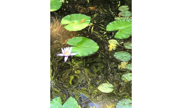 Big image 6b6a80bc f561 4952 a4bc 81048c7887e1 1 201 a