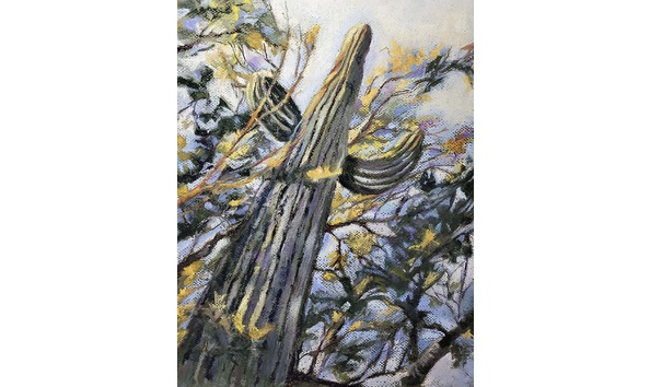 Big image 6f866636 53fe 4ea2 9f8f 2bd9d61380d4 1 201 a