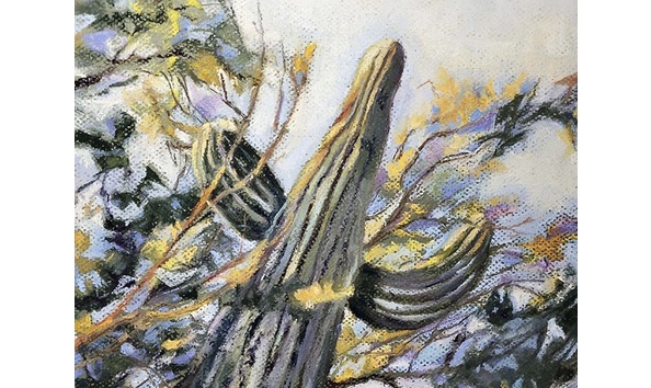 Big image cdb72187 8bf1 4ac3 ad3b 8edb524492a7 1 201 a