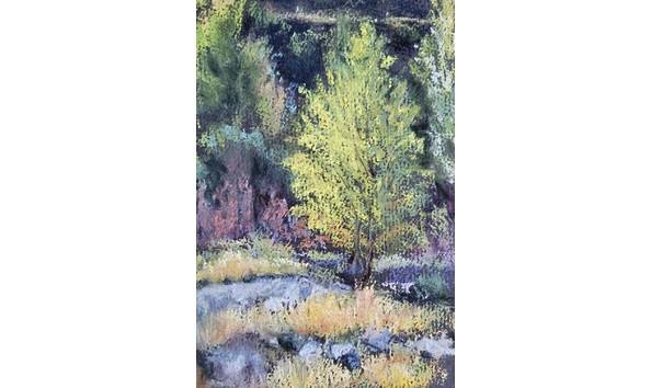 Big image 91b966de 614c 4feb b34e 197bf898ad11 1 201 a