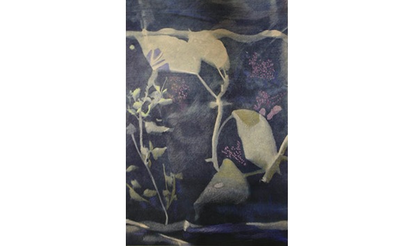 Big image a23590df a9f5 49e1 9f15 dfcd4544ef39 1 201 a