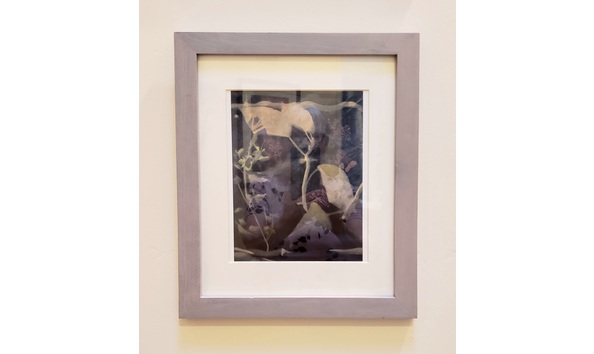 Big image a0d2d563 0c0e 4fdf ab22 f1a6b2bbd251 1 201 a