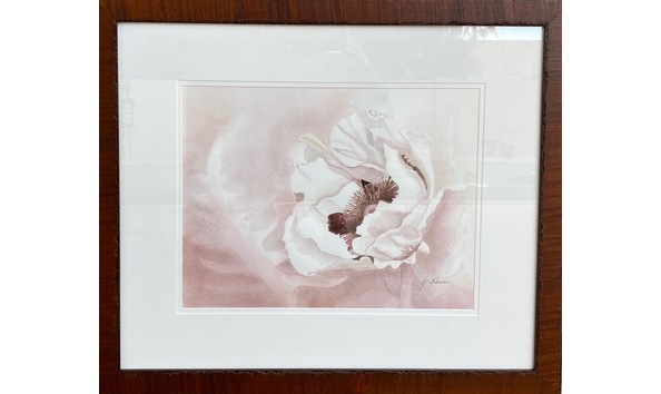 Big image cec69173 79bb 4784 acdf ea954d06dec2