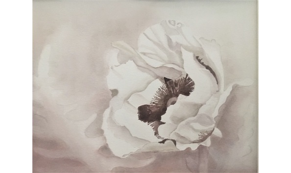 Big image 654d6cdb 0521 459f 9cc0 19ca54d43adb 1 201 a