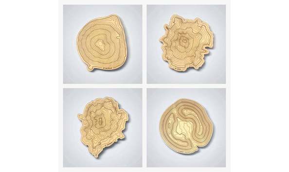 Big image il 794xn.2530899886 i872