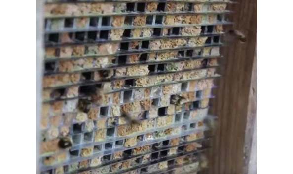 Big image il 794xn.2951401909 o7ez