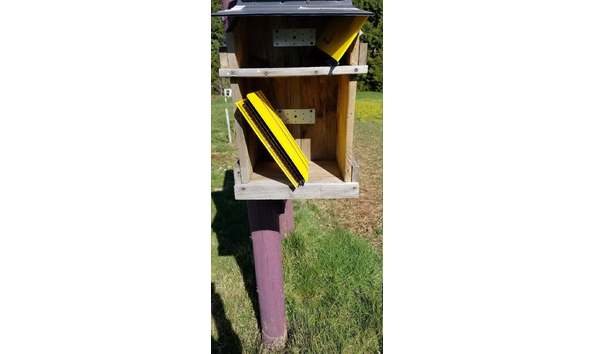 Big image il 794xn.2985636113 ga46