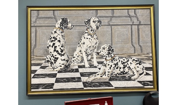 Big image dalmatians