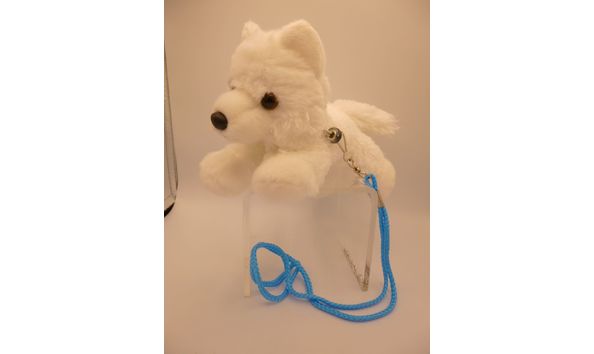Big image 201909plu002   white wolf con buddy p1000590