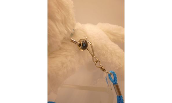 Big image 201909plu002 2   white wolf con buddy p1000591
