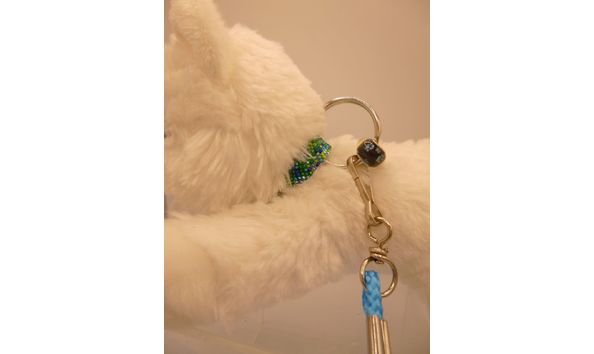 Big image 201909plu002 3   white wolf con buddy p1000592