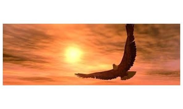 Big image mini magick20160307 23317 1vdzdk5