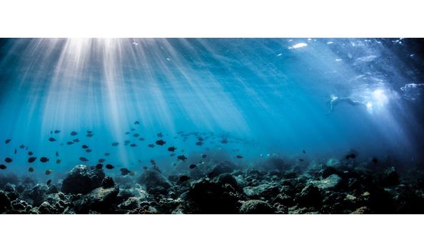 Big image vast snorkel   abbey koshak small