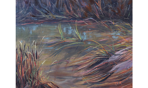 Big image romnaovsky nancy spring runoff