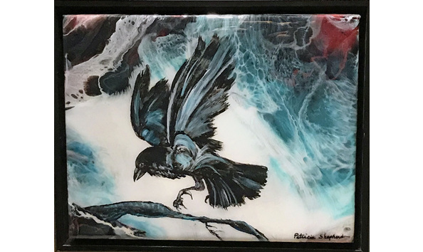 Big image shepherd raven 72 dpi