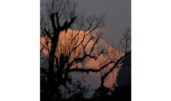 Big image langtang alpenglow