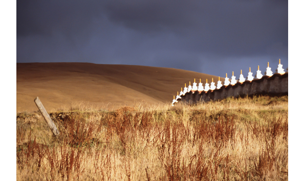 Big image fields of enlightenment