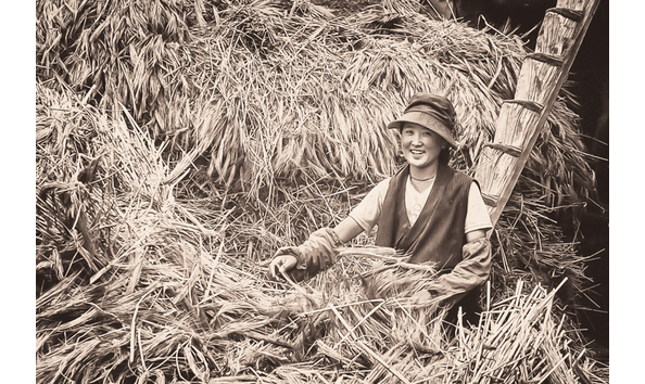 Big image in the waves of barley
