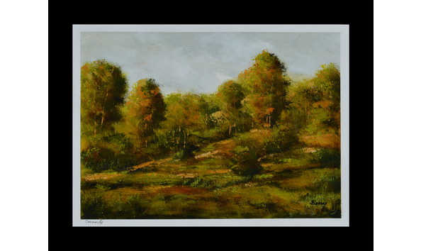 Big image serenity 10x14 image jpg