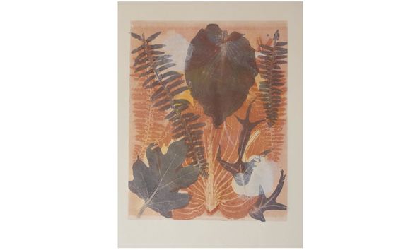 Big image unnamed  5 