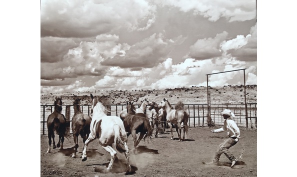 Big image fullsizer  1 