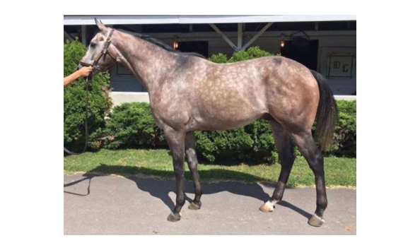 Big image screen shot 2017 05 22 at 2.54.23 pm