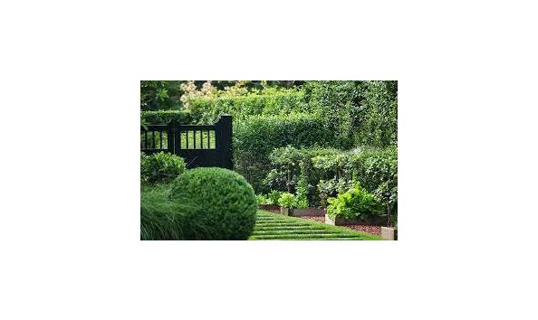 Big image landscape details