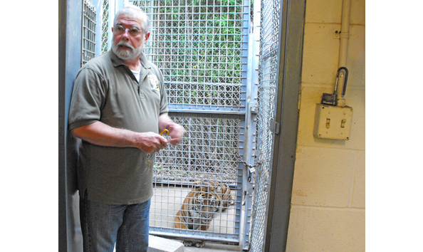 Big image zoo behind the scenes