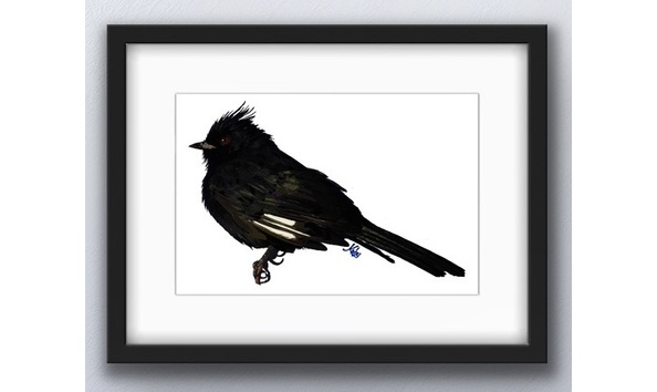 Big image a226a9a9 3072 4729 a24e 7935a5d7a306 1 201 a