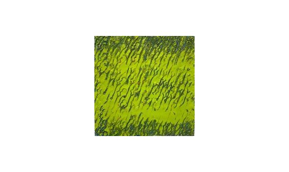 Big image angela white green painting detail