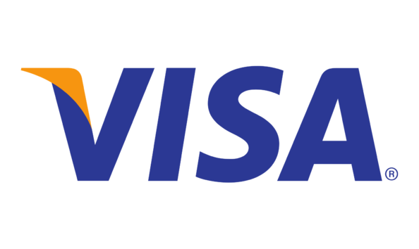 Big image visa logo 2