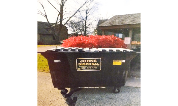 Big image shared from lightroom mobile  1 