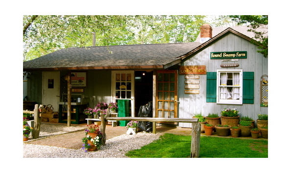 Big image round swamp farm