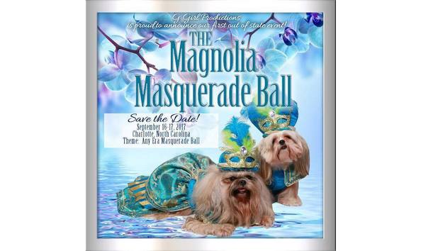 Organization Main Image