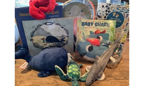 Big image ocean creatures