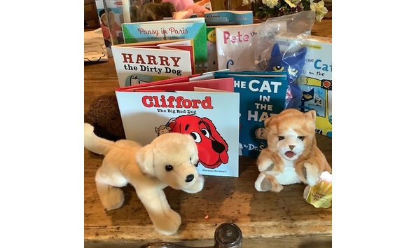 Big image cats and dogs