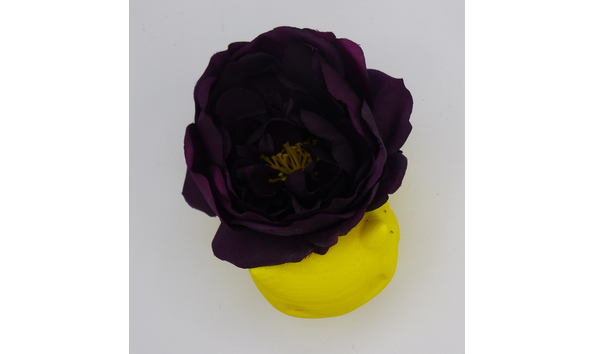 Big image mini magick20210712 84198 1ucfc81