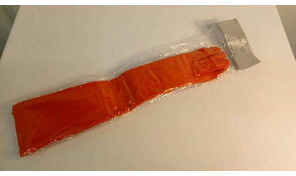 Big image mini magick20210713 84198 3gb797