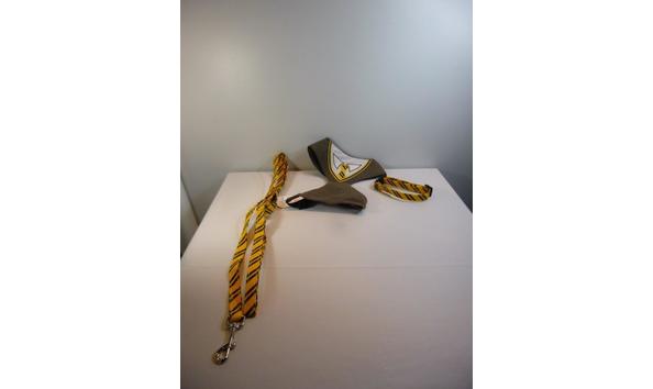 Big image 202107pet001   collar  harness and leash set