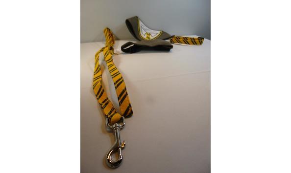 Big image 202107pet001 2   collar  harness and leash set