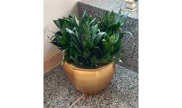 Big image mini magick20210730 44681 1px847i