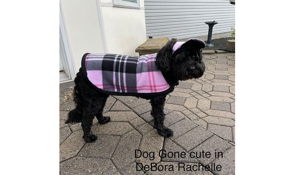 Big image 203981767 2975781422666152 6010865571748275699 n