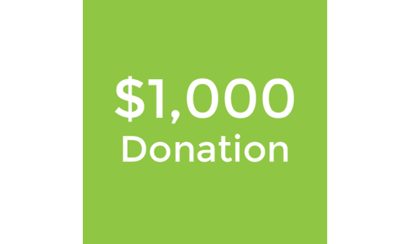Big image 1000donation