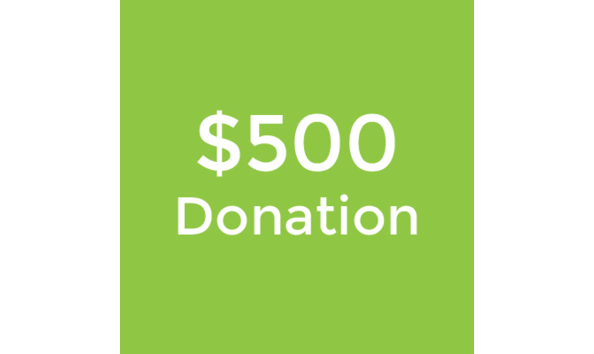 Big image 500donation