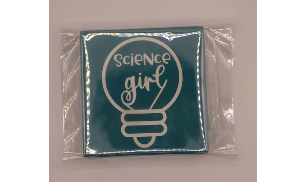 Big image 202107decor004 2   science girl and solutions signs