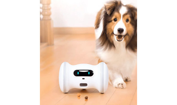 Big image screen shot 2021 08 01 at 3.29.09 pm