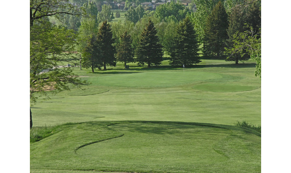 Big image indian tree2